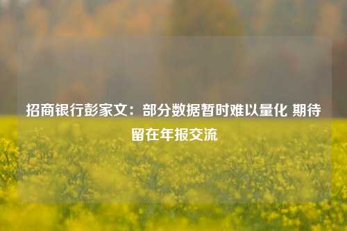 招商银行彭家文：部分数据暂时难以量化 期待留在年报交流