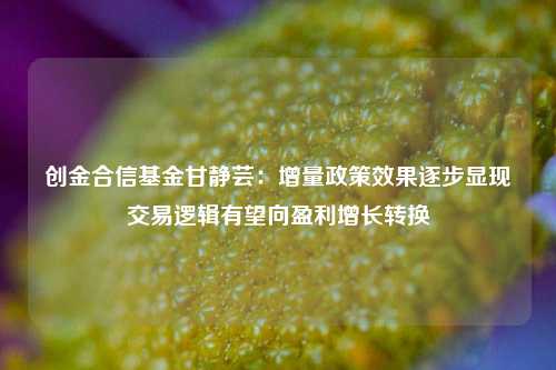 创金合信基金甘静芸：增量政策效果逐步显现 交易逻辑有望向盈利增长转换