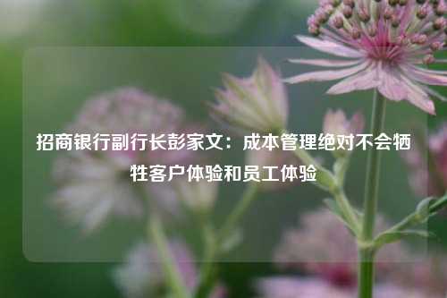 招商银行副行长彭家文：成本管理绝对不会牺牲客户体验和员工体验