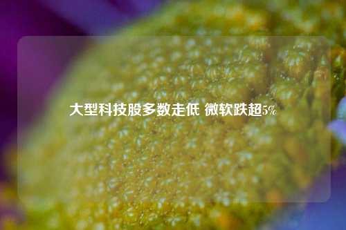 大型科技股多数走低 微软跌超5%