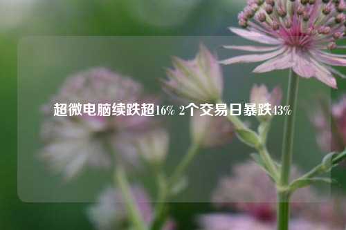 超微电脑续跌超16% 2个交易日暴跌43%