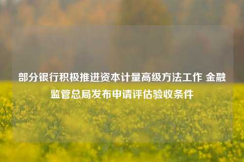 部分银行积极推进资本计量高级方法工作 金融监管总局发布申请评估验收条件