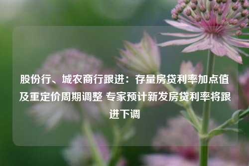 股份行、城农商行跟进：存量房贷利率加点值及重定价周期调整 专家预计新发房贷利率将跟进下调