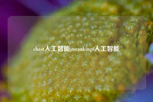 chast人工智能,csrankings人工智能