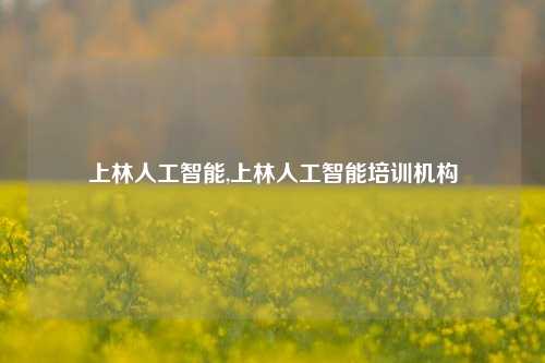 上林人工智能,上林人工智能培训机构