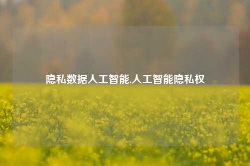 隐私数据人工智能,人工智能隐私权