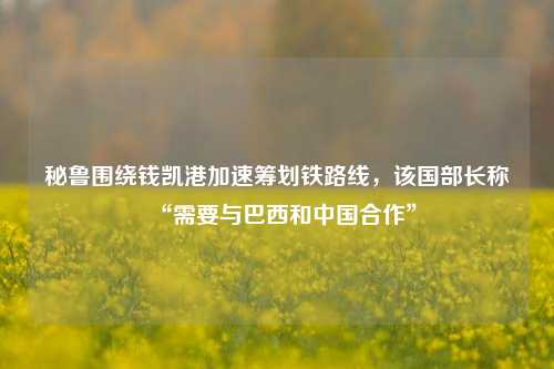 秘鲁围绕钱凯港加速筹划铁路线，该国部长称“需要与巴西和中国合作”