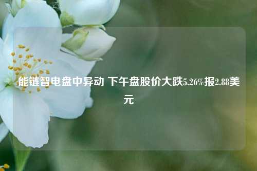 能链智电盘中异动 下午盘股价大跌5.26%报2.88美元