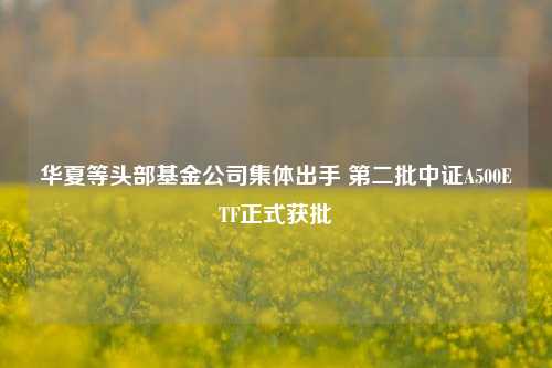 华夏等头部基金公司集体出手 第二批中证A500ETF正式获批