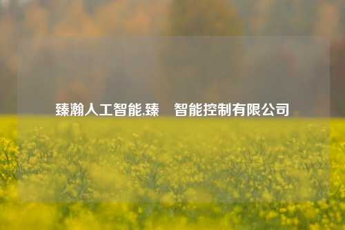 臻瀚人工智能,臻洐智能控制有限公司