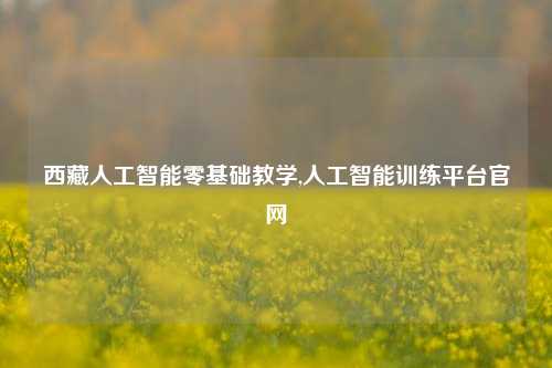 西藏人工智能零基础教学,人工智能训练平台官网