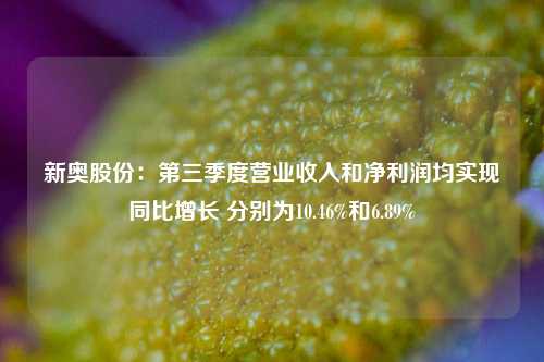 新奥股份：第三季度营业收入和净利润均实现同比增长 分别为10.46%和6.89%