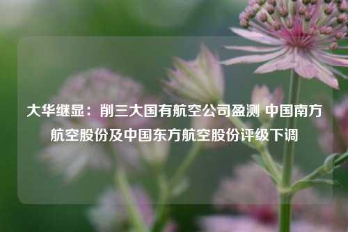 大华继显：削三大国有航空公司盈测 中国南方航空股份及中国东方航空股份评级下调