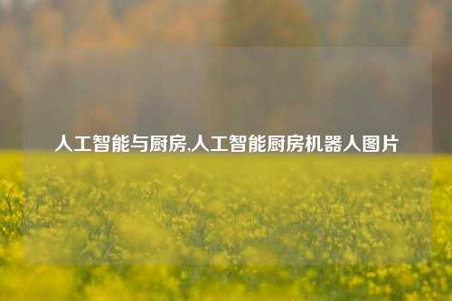 人工智能与厨房,人工智能厨房机器人图片