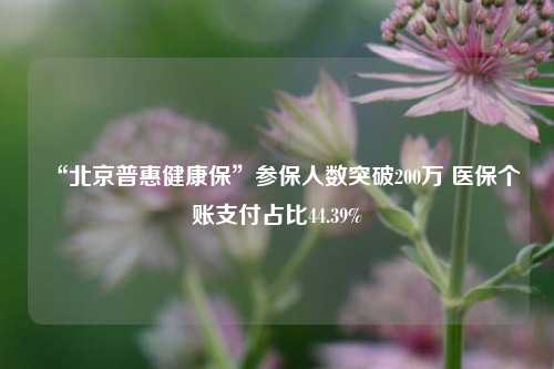 “北京普惠健康保”参保人数突破200万 医保个账支付占比44.39%