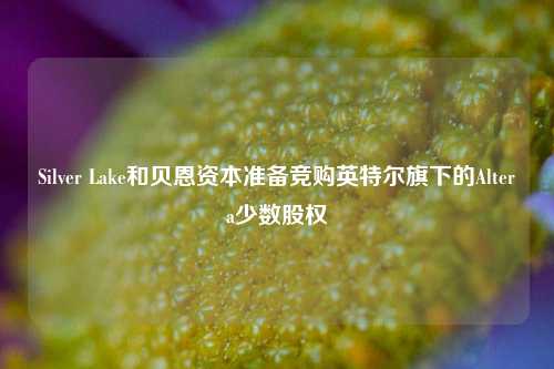 Silver Lake和贝恩资本准备竞购英特尔旗下的Altera少数股权