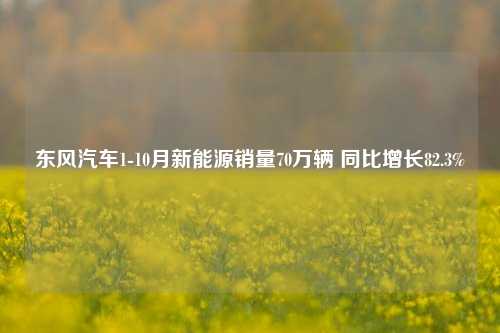 东风汽车1-10月新能源销量70万辆 同比增长82.3%