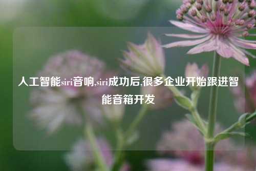 人工智能siri音响,siri成功后,很多企业开始跟进智能音箱开发