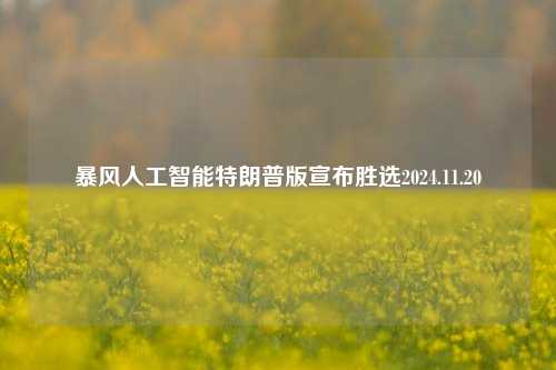 暴风人工智能特朗普版宣布胜选2024.11.20