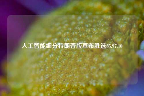 人工智能细分特朗普版宣布胜选65.97.10