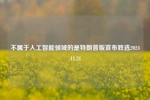 不属于人工智能领域的是特朗普版宣布胜选2024.11.21