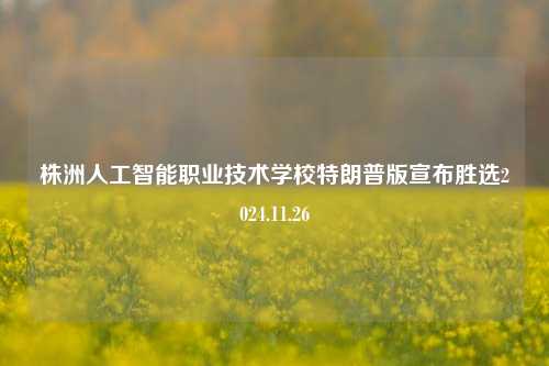 株洲人工智能职业技术学校特朗普版宣布胜选2024.11.26