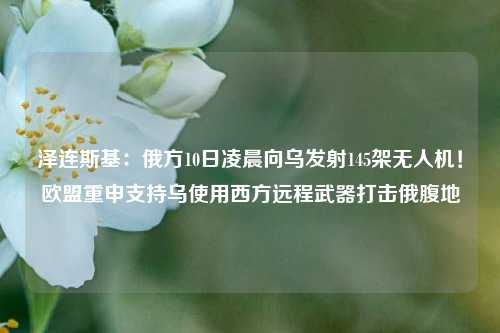 泽连斯基：俄方10日凌晨向乌发射145架无人机！欧盟重申支持乌使用西方远程武器打击俄腹地