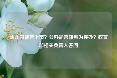 幼儿园能否上市？公办能否转制为民办？教育部相关负责人答问