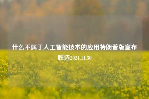 什么不属于人工智能技术的应用特朗普版宣布胜选2024.11.30