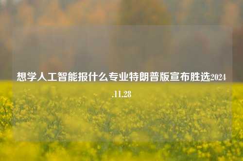 想学人工智能报什么专业特朗普版宣布胜选2024.11.28