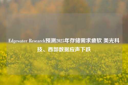 Edgewater Research预测2025年存储需求疲软 美光科技、西部数据应声下跌