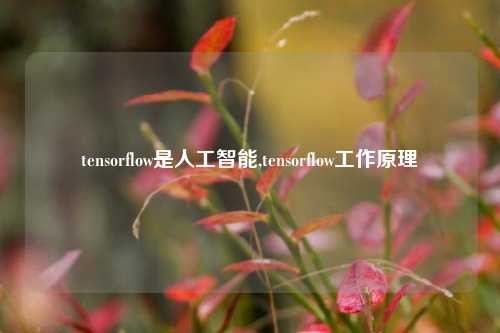 tensorflow是人工智能,tensorflow工作原理