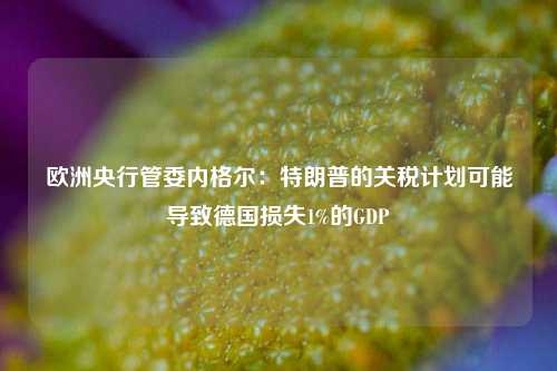 欧洲央行管委内格尔：特朗普的关税计划可能导致德国损失1%的GDP