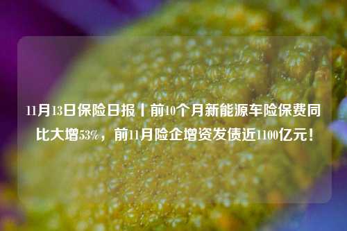 11月13日保险日报丨前10个月新能源车险保费同比大增53%，前11月险企增资发债近1100亿元！