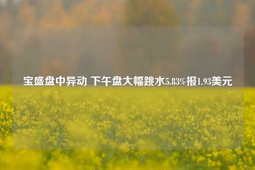 宝盛盘中异动 下午盘大幅跳水5.83%报1.93美元