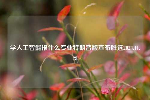 学人工智能报什么专业特朗普版宣布胜选2024.11.28