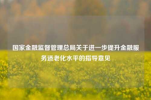 国家金融监督管理总局关于进一步提升金融服务适老化水平的指导意见