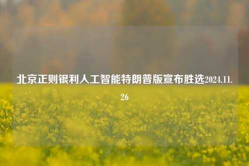 北京正则银利人工智能特朗普版宣布胜选2024.11.26