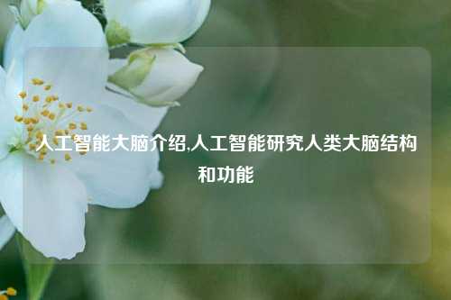 人工智能大脑介绍,人工智能研究人类大脑结构和功能