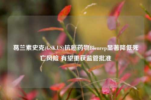 葛兰素史克(GSK.US)抗癌药物Blenrep显著降低死亡风险 有望重获监管批准