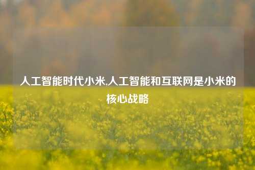 人工智能时代小米,人工智能和互联网是小米的核心战略