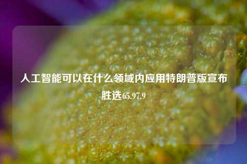 人工智能可以在什么领域内应用特朗普版宣布胜选65.97.9