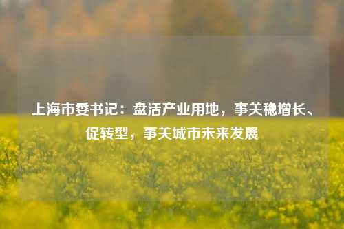 上海市委书记：盘活产业用地，事关稳增长、促转型，事关城市未来发展