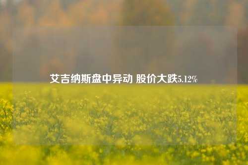 艾吉纳斯盘中异动 股价大跌5.12%