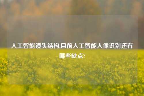 人工智能镜头结构,目前人工智能人像识别还有哪些缺点?