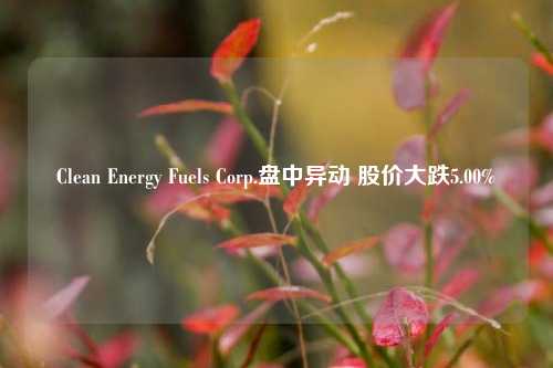 Clean Energy Fuels Corp.盘中异动 股价大跌5.00%