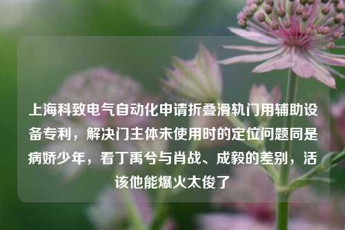 上海科致电气自动化申请折叠滑轨门用辅助设备专利，解决门主体未使用时的定位问题同是病娇少年，看丁禹兮与肖战、成毅的差别，活该他能爆火太俊了