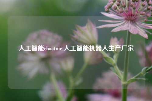 人工智能chaatme,人工智能机器人生产厂家