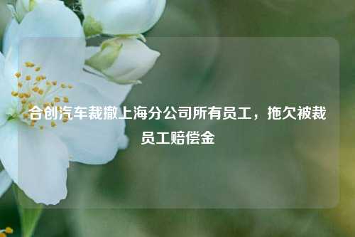 合创汽车裁撤上海分公司所有员工，拖欠被裁员工赔偿金