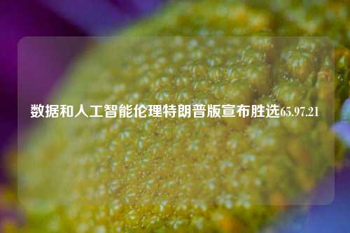 数据和人工智能伦理特朗普版宣布胜选65.97.21